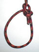 bowline