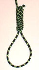 hangman's noose