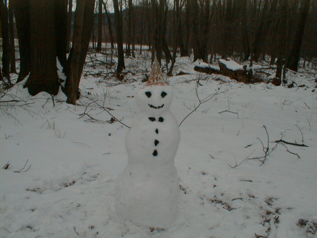 snow man not burning